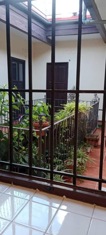 Hosfty Centro San Marcos 2 Appartement *